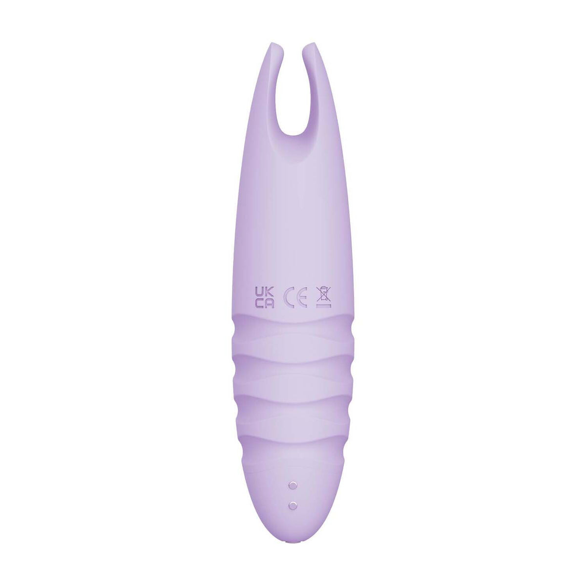 Sorbet Purple Passion Lavender
