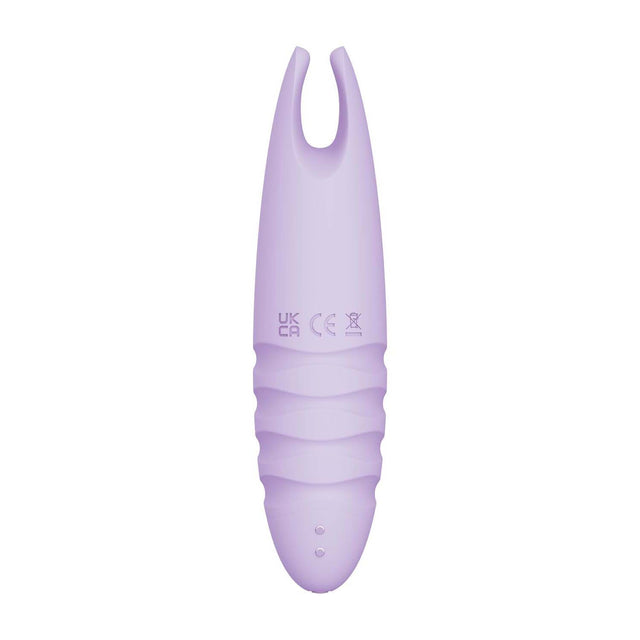 Sorbet Purple Passion Lavender
