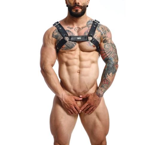 Male basics dngeon classic belt harness black o/s