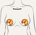 Pastease sweet golden fortune cookie pasties