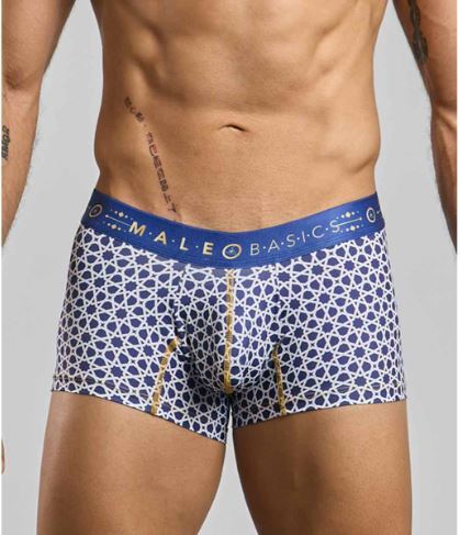 Male basics hipster trunk stellar large (hanging only)